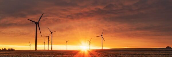 Renewable Energy Industry